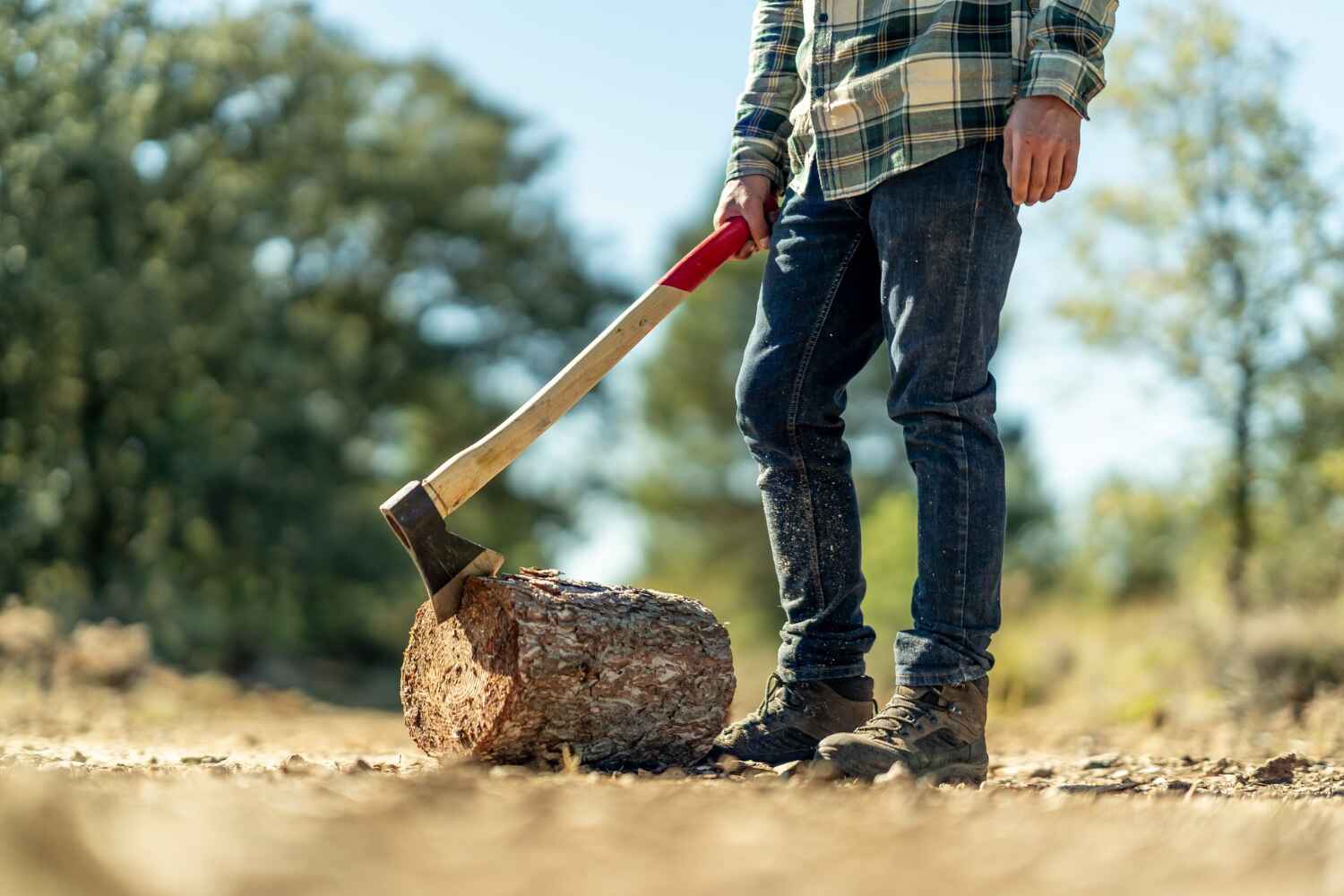 Best Dead Tree Removal  in USA